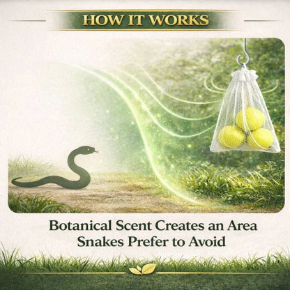🎉Snake Repellent Balls - Advanced Herbal Shield Protection 🐍